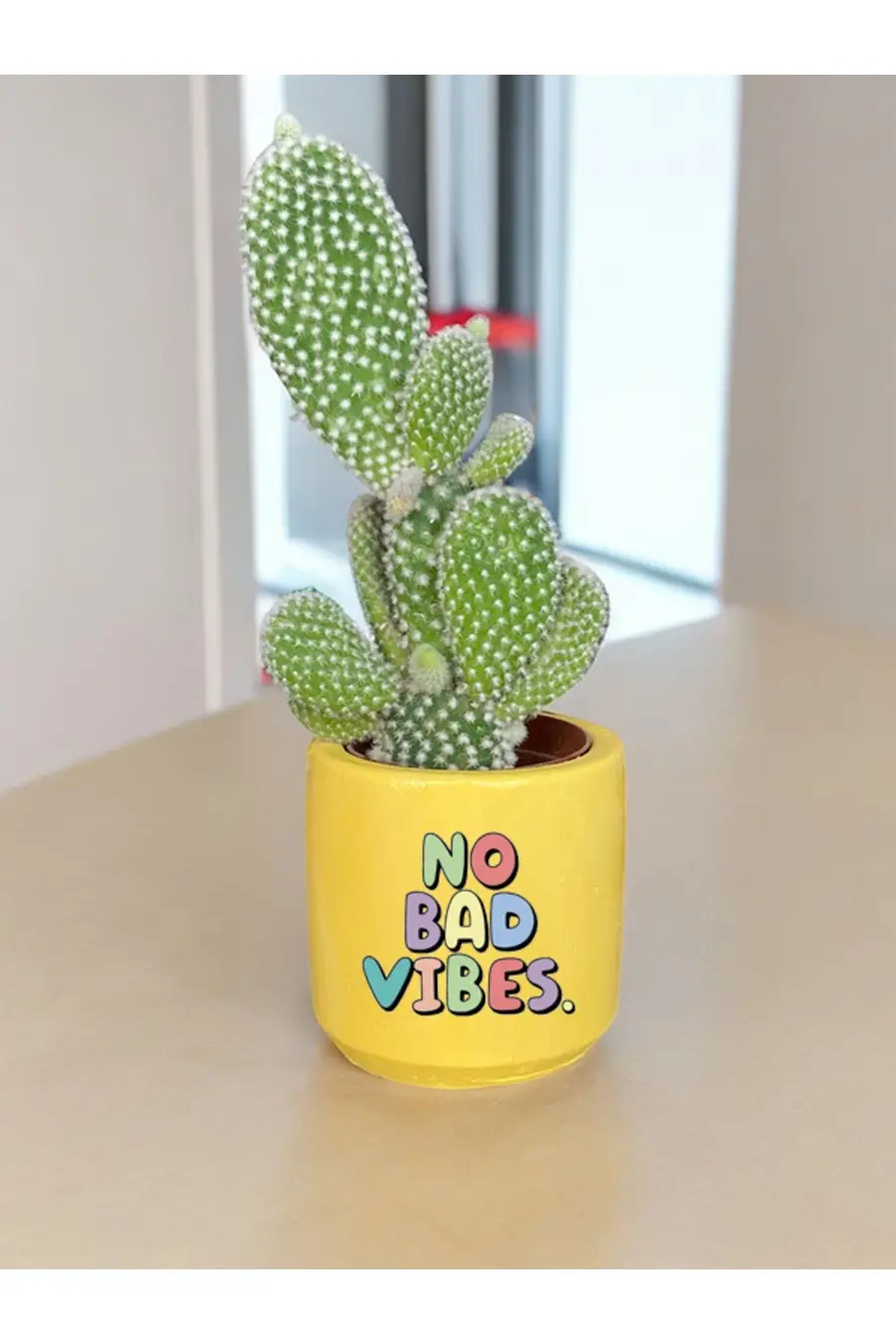 No Bad Vibes Temalı Özel El Yapımı Hediye Saksı (çiçeksiz) model 122 - 1. görsel