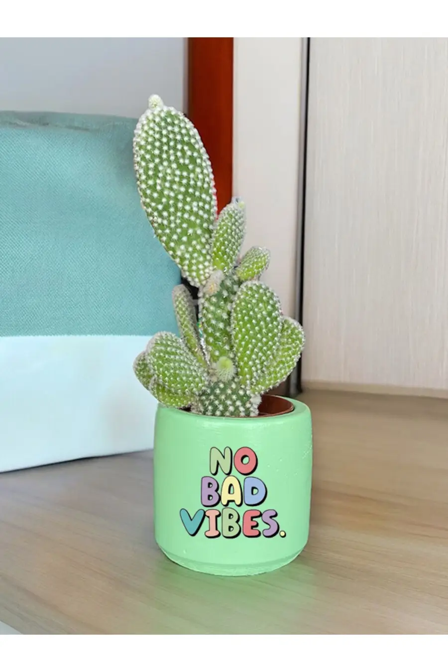 No Bad Vibes Temalı Özel El Yapımı Hediye Saksı (çiçeksiz) model 124 - 1. görsel