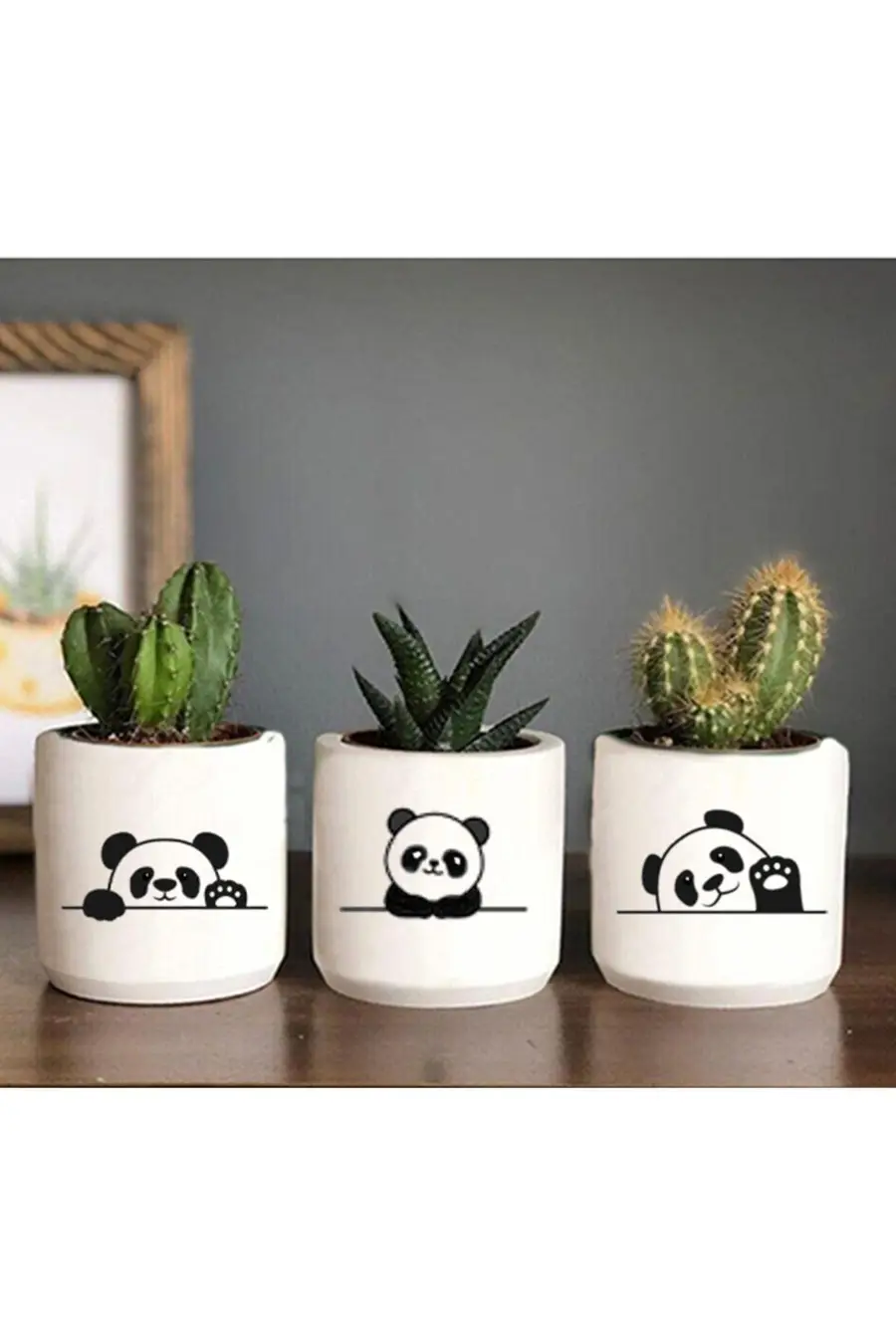 Panda Sticker Desenli Saksı Sukulent Ve Kaktüs Saksısı Pandacık - 1. görsel