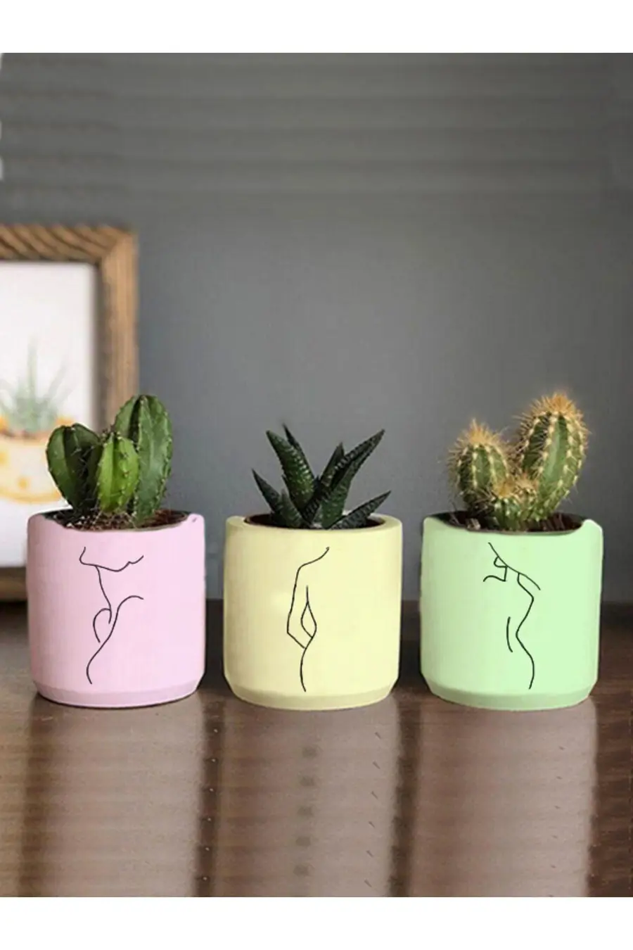 Pastel Renkli Minimalist Kadın Çizimli 3lü Set Kaktüs Ve Sukulent Saksısı Hediyelik (çiçeksiz) - 1. görsel