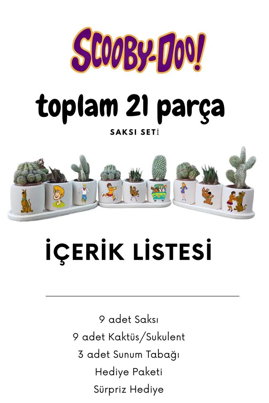 Scooby Doo Temalı 21 parça Saksı Seti Hediyelik Beton Saksı Seti - 1. görsel