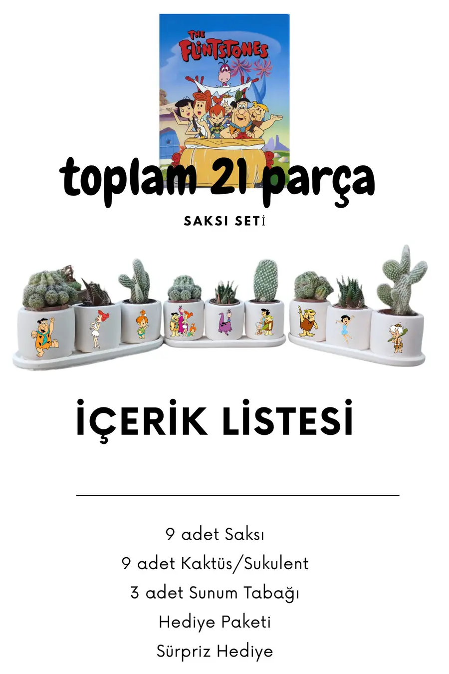 Şirinler The Smurfs Temalı 21 parça Saksı Seti Hediyelik Beton Saksı Seti - 1. görsel