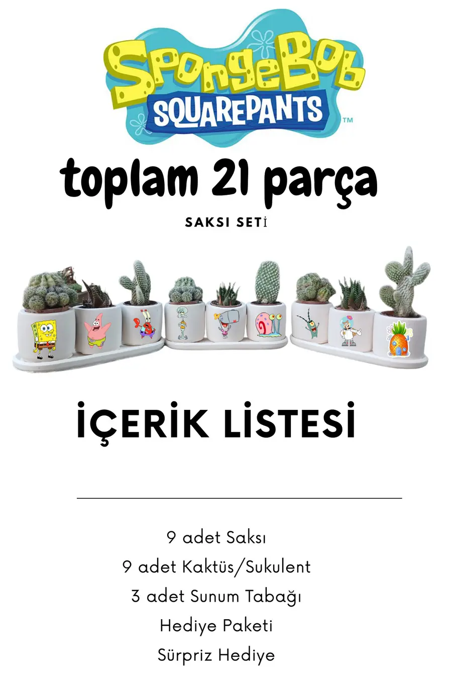Sponge Bob Sunger Bob Temalı 21 parça Saksı Seti Hediyelik Beton Saksı Seti - 1. görsel