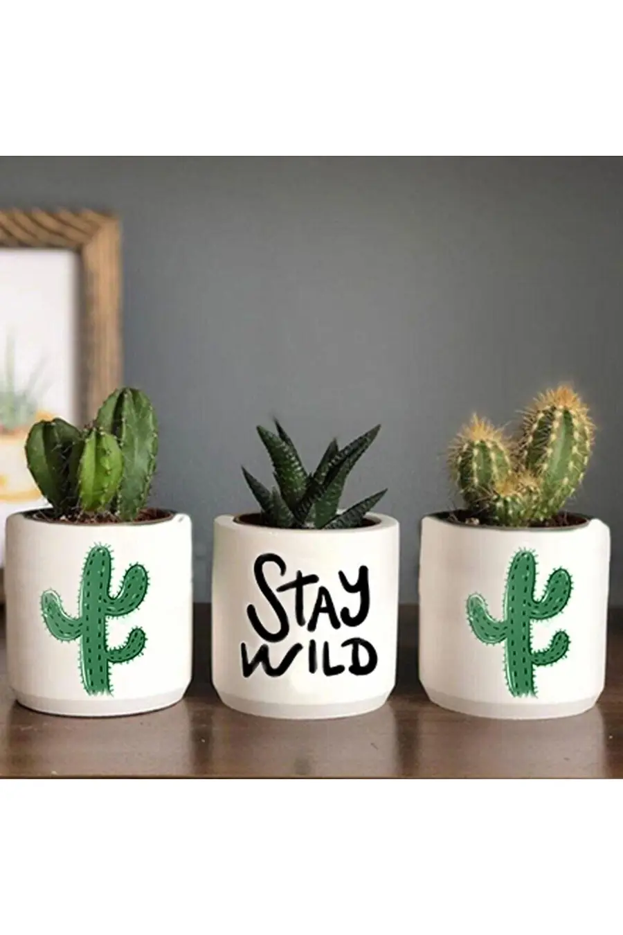 Stay Wild Kaktüs Desenli Saksı Üçlü Set- Küçük Boy Sukulent Saksısı Kaktüs - 1. görsel