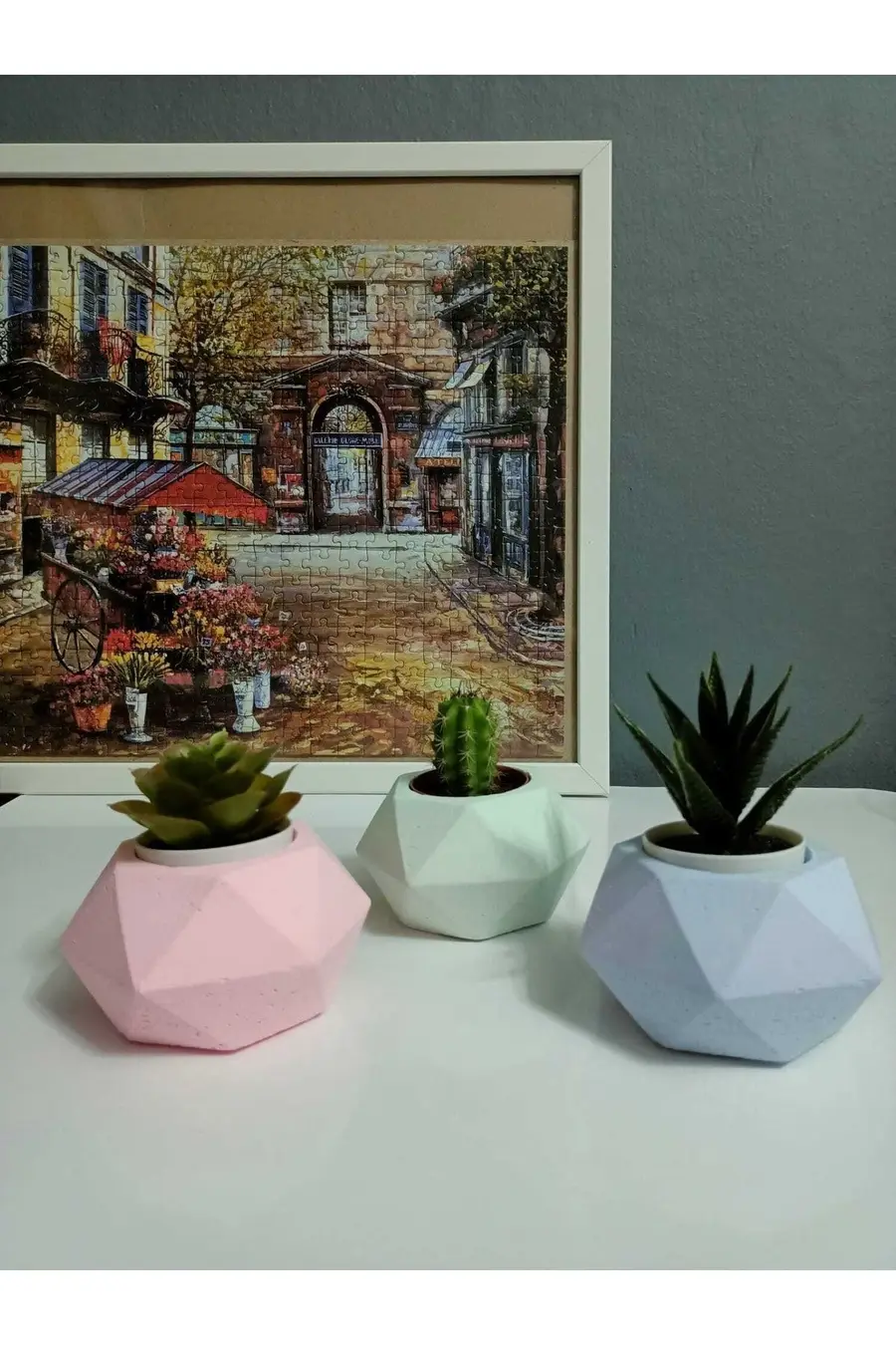 Sukulent Ve Kaktüs Saksı Seti Geometrik Şekilli - 1. görsel