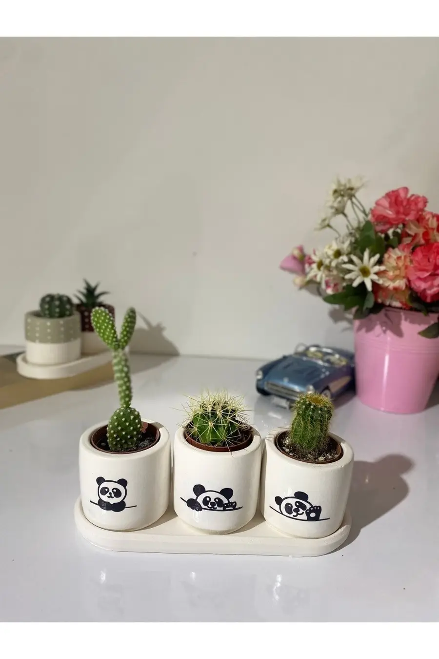Tabaklı 3lü Panda Silueti Saksı Seti - 1. görsel