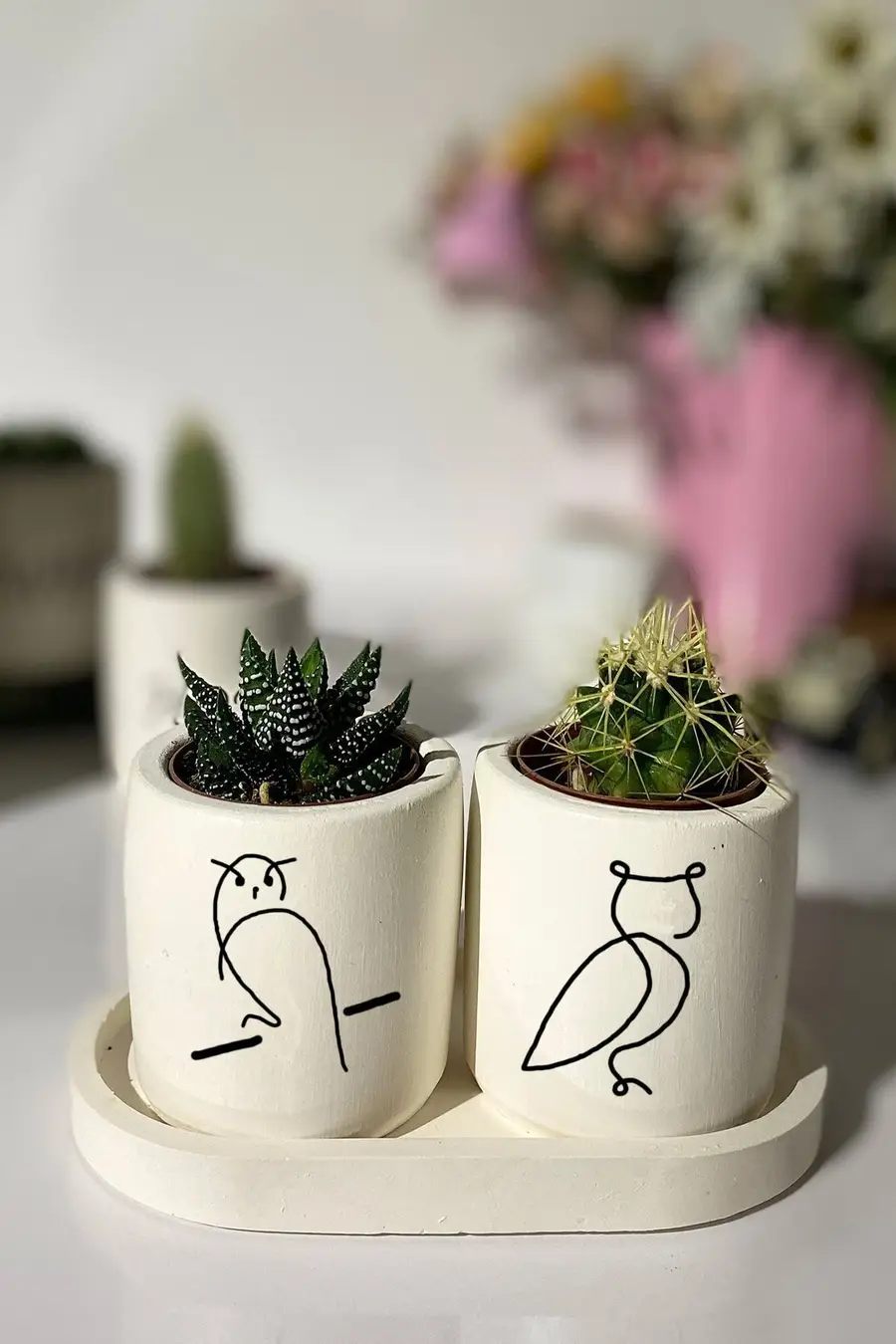 Tabaklı Baykuş Motifli Mini Saksı Seti - 1. görsel