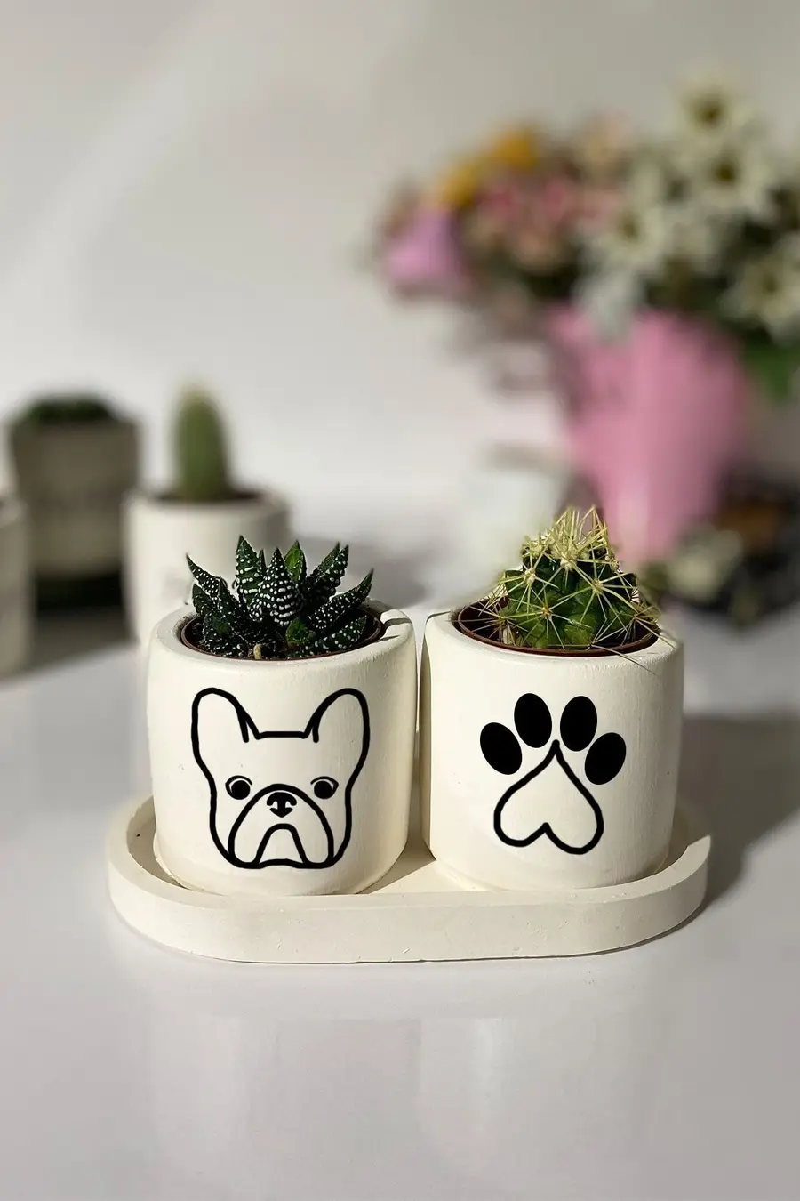 Tabaklı Bulldog Desenli Mini Saksı Seti - 1. görsel