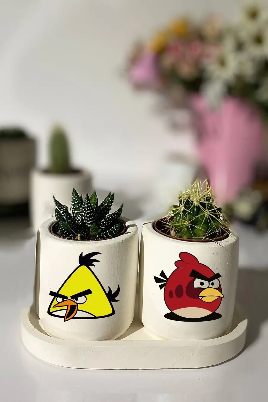 Tabaklı Desenli Mini Saksı Seti Hediyelik Dekoratif - 1. görsel