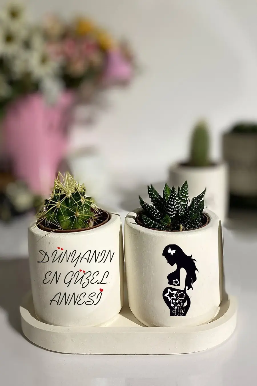 Tabaklı Dünyanın En Güzel Annesi Baskılı Mini Saksı Seti Hediyelik Dekoratif Anneler Günü - 1. görsel