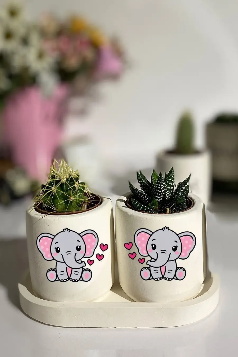 Tabaklı Fil Baskılı Mini Saksı Seti Hediyelik Dekoratif - 1. görsel