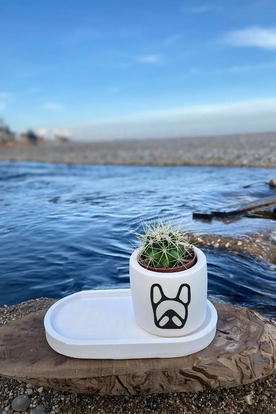 Tabaklı French Bulldog Ikon Desenli Mini Saksı Seti (çiçeksiz) - 1. görsel