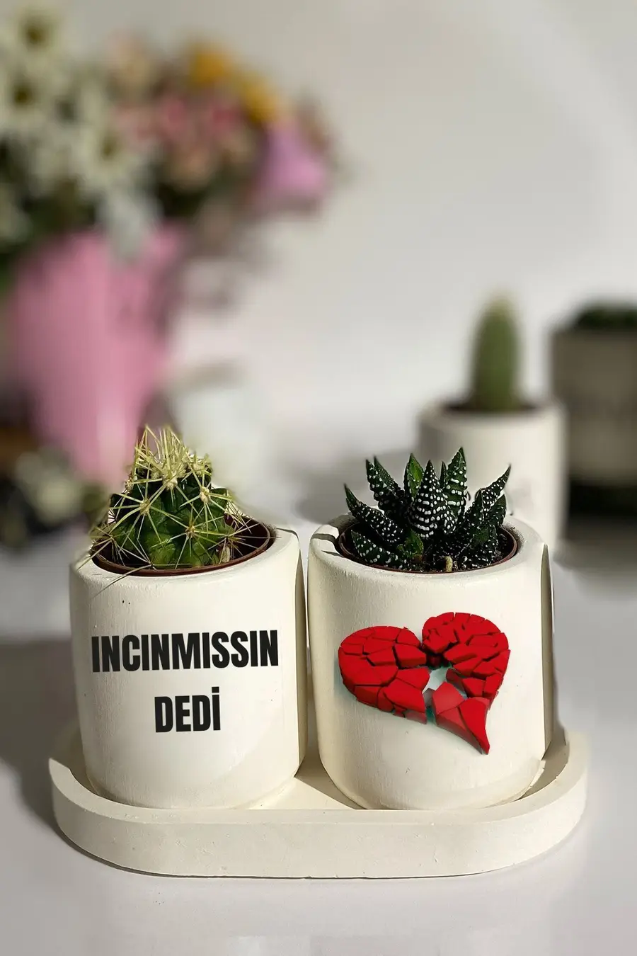 Tabaklı Incinmişsin Dedi Baskılı Mini Saksı Seti Hediyelik Dekoratif (ÇİÇEKLİ) - 1. görsel