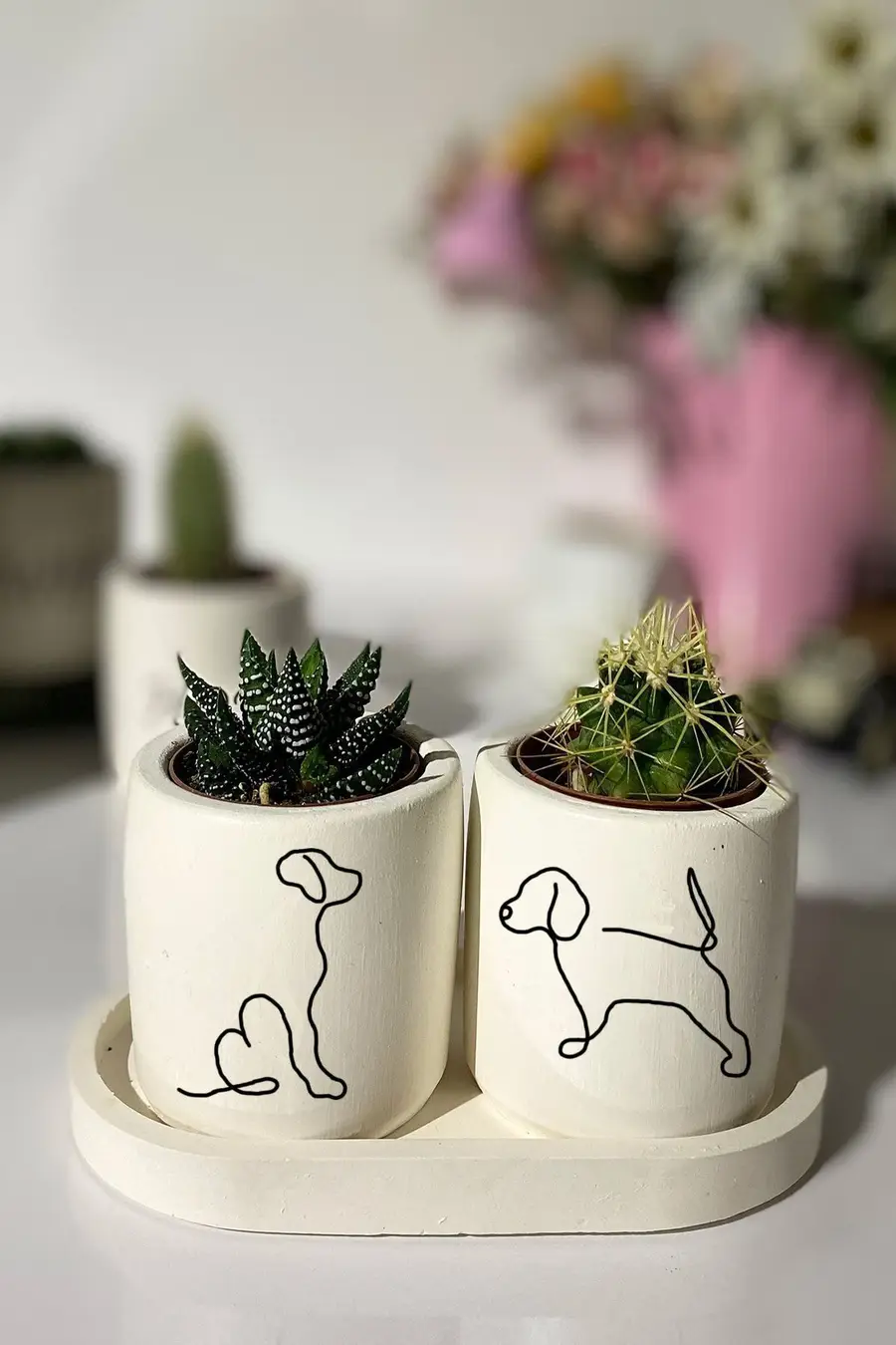 Tabaklı Kadın Baskılı Mini Saksı Seti Hediyelik Dekoratif - 1. görsel