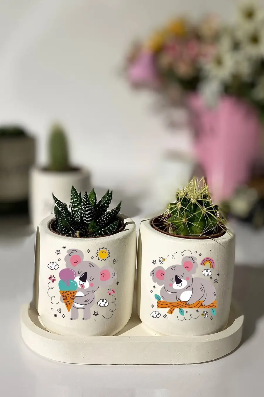 Tabaklı Koala Baskılı Mini Saksı Seti Hediyelik Dekoratif - 1. görsel