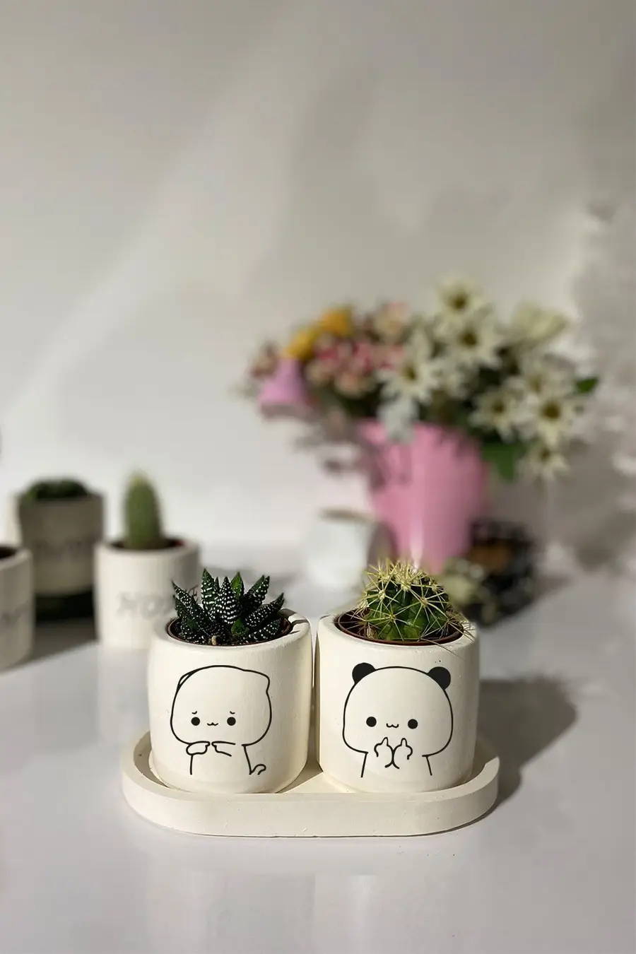 Tabaklı Komik Çizim Desenli Mini Saksı Seti - 1. görsel