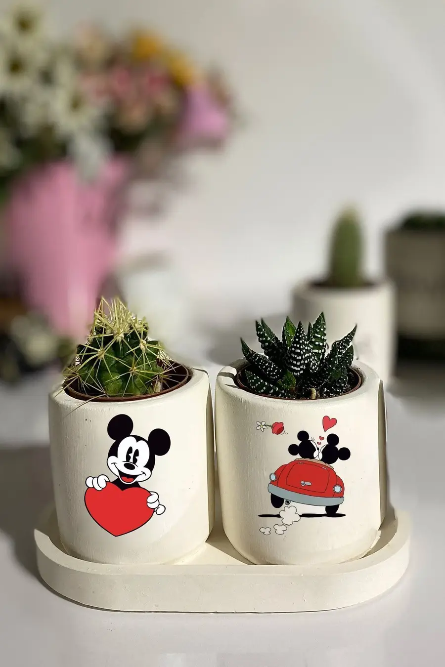 Tabaklı Mickey Mouse Baskılı Mini Saksı Seti Hediyelik Dekoratif - 1. görsel
