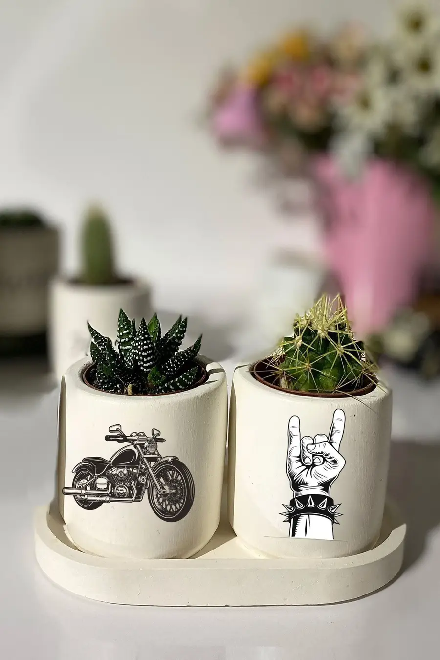 Tabaklı Motorcu Baskılı Mini Saksı Seti Hediyelik Dekoratif - 1. görsel