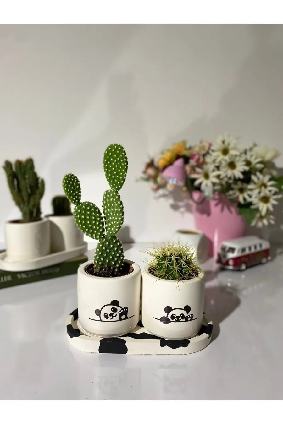 Tabaklı Panda 3 Desenli Özel Çizim Saksı Seti Hediyelik Kalemlik - 1. görsel