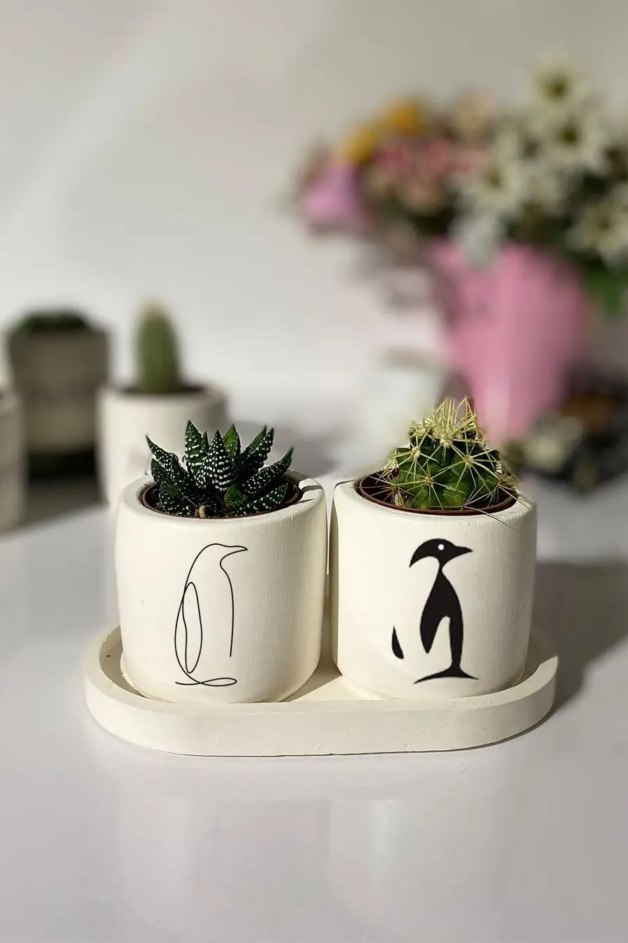 Tabaklı Penguen Desenli Saksı Seti - 1. görsel
