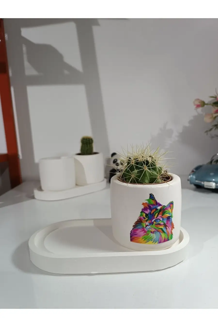 Tabaklı Renkli Kedi Baskılı Saksı Seti - 1. görsel