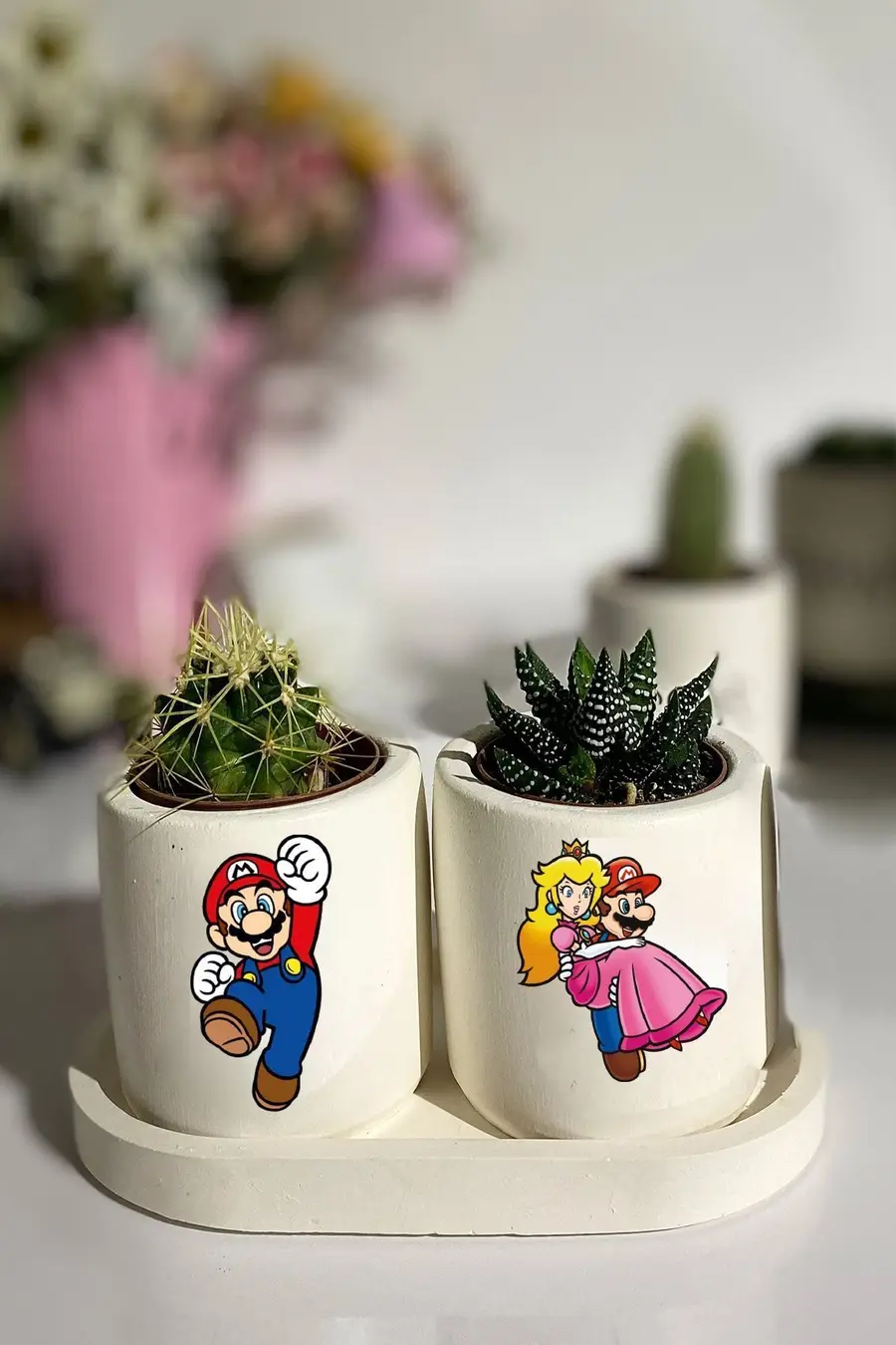 Tabaklı Super Mario Baskılı Mini Saksı Seti Hediyelik Dekoratif - 1. görsel