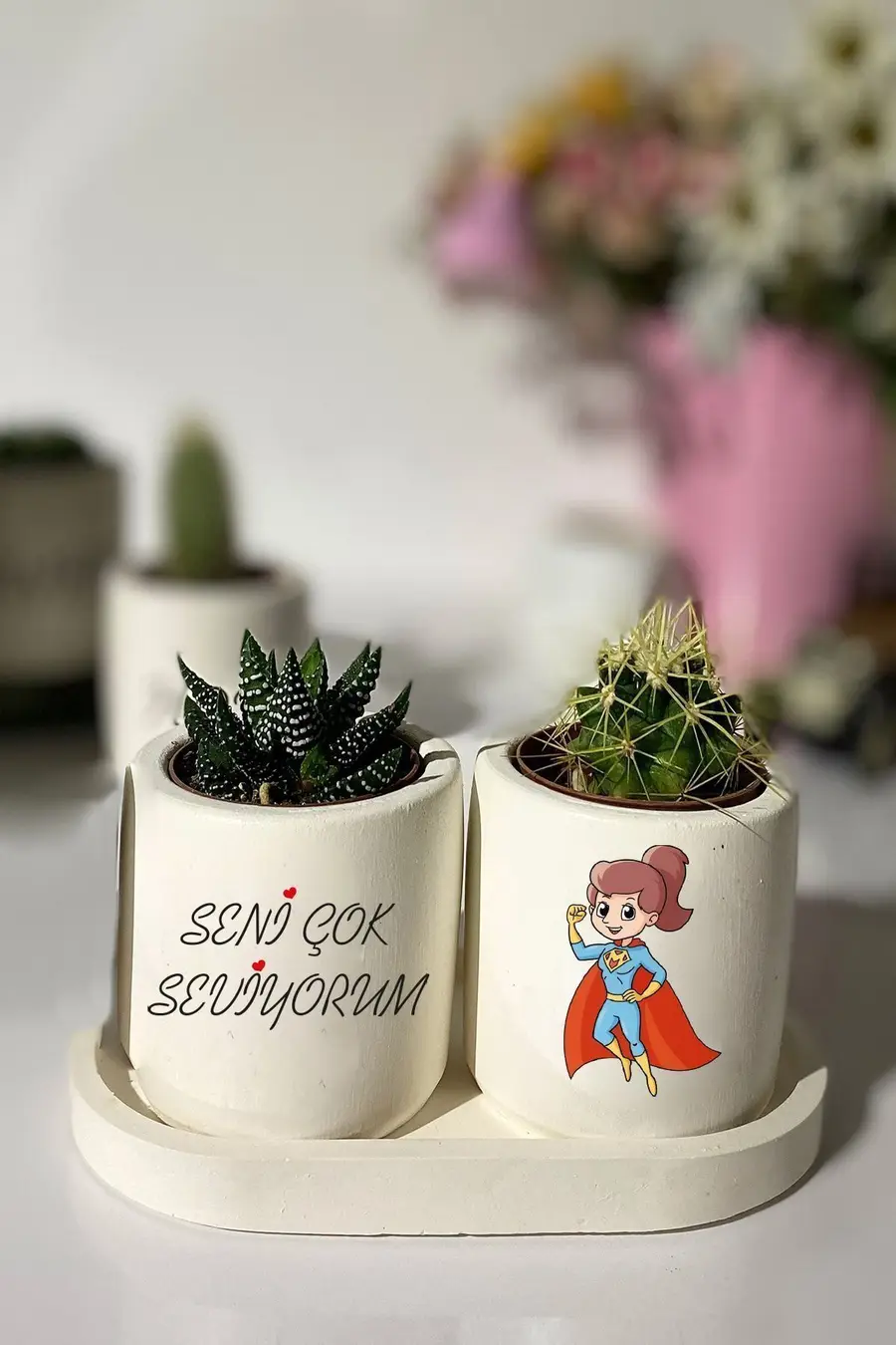 Tabaklı Superwomen Baskılı Mini Saksı Seti Hediyelik Dekoratif - 1. görsel