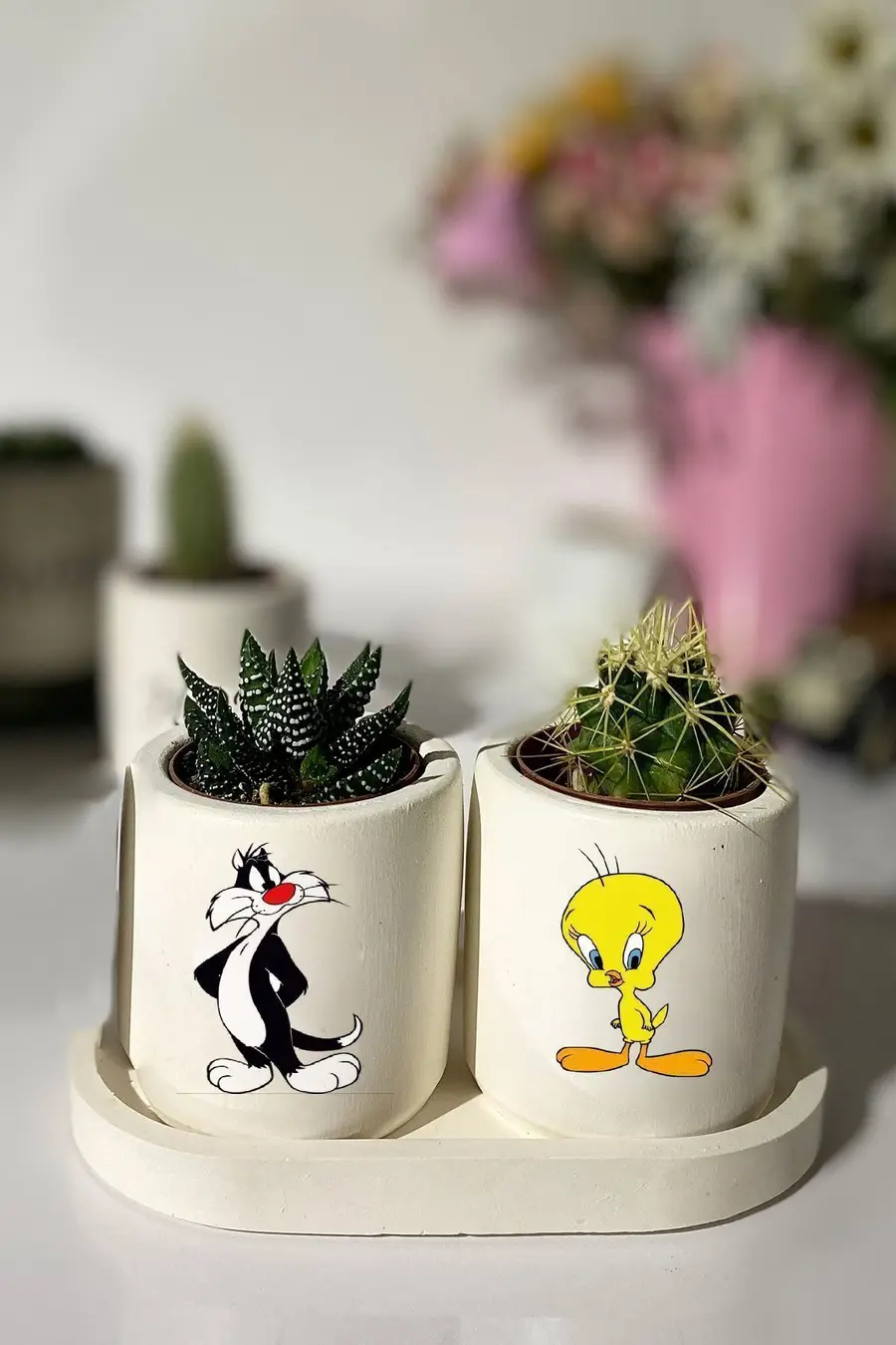 Tabaklı Tweety Baskılı Mini Saksı Seti Hediyelik Dekoratif - 1. görsel