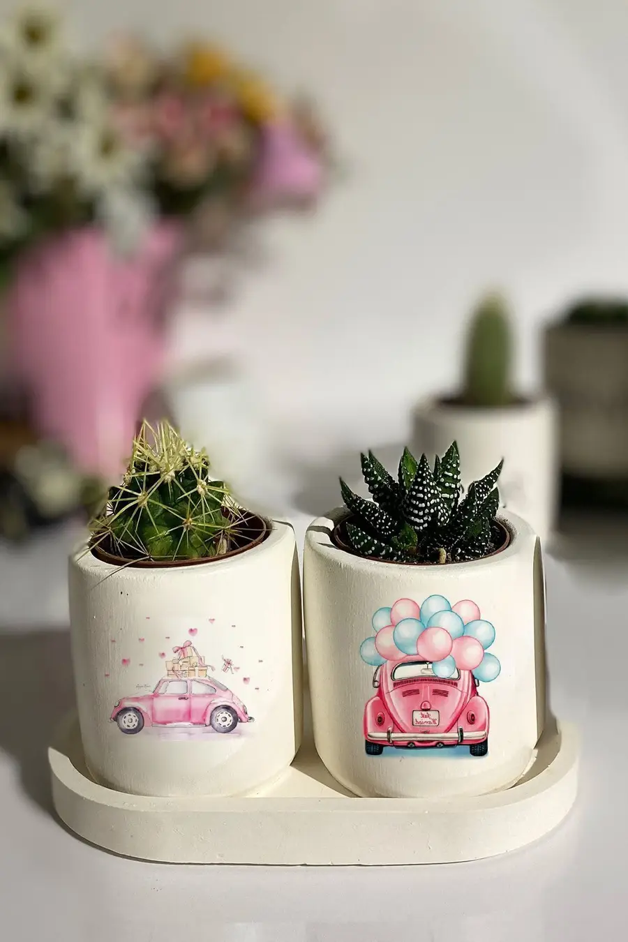 Tabaklı Vosvos Baskılı Mini Saksı Seti Hediyelik Dekoratif - 1. görsel