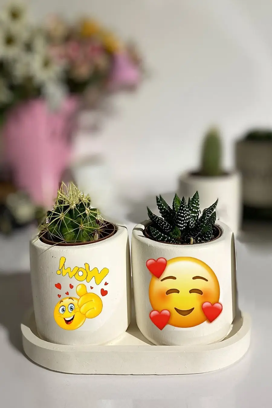 Tabaklı Wow Baskılı Mini Saksı Seti Hediyelik Dekoratif - 1. görsel