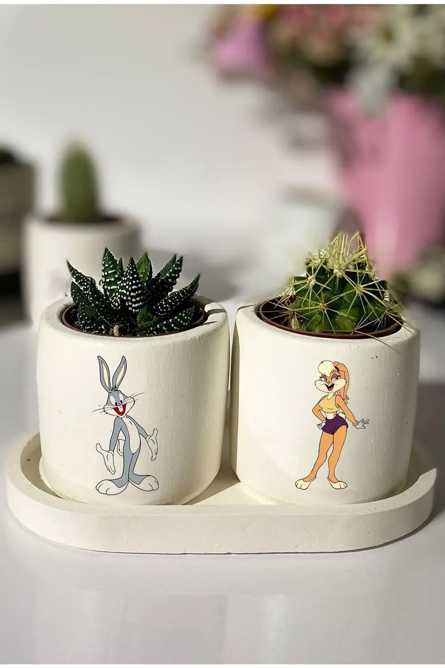 Tavşan Buggs Bunny Baskılı Sukulent Kaktüs Saksı Seti Hediyelik - 1. görsel