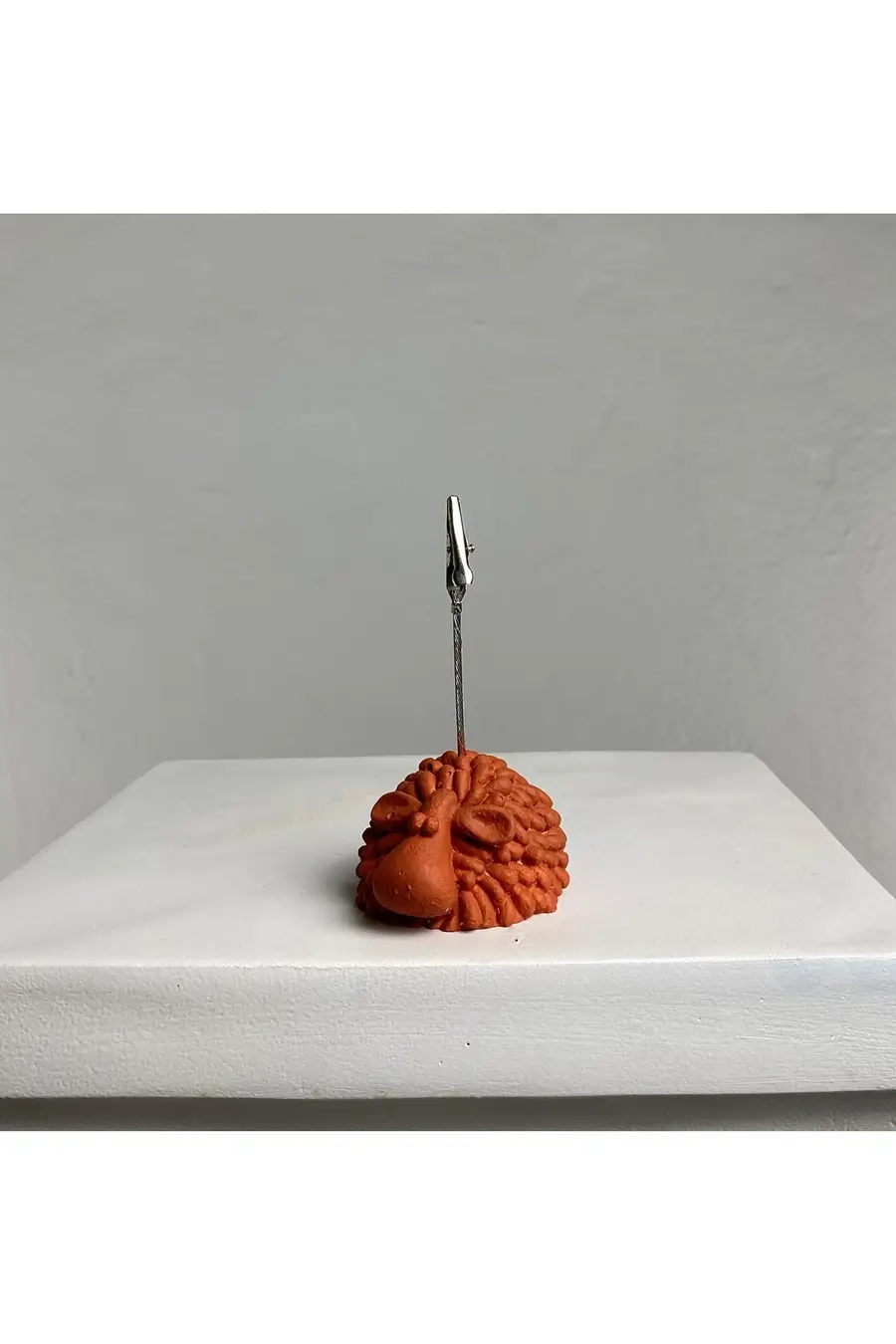 Terracota Kuzu Not Tutucu - 1. görsel