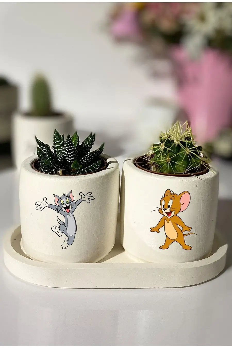Tom Ve Jerry Baskılı Minimal Sukulent Ya Da Kaktüs Saksı Seti Hediyelik Kalemlik - 1. görsel