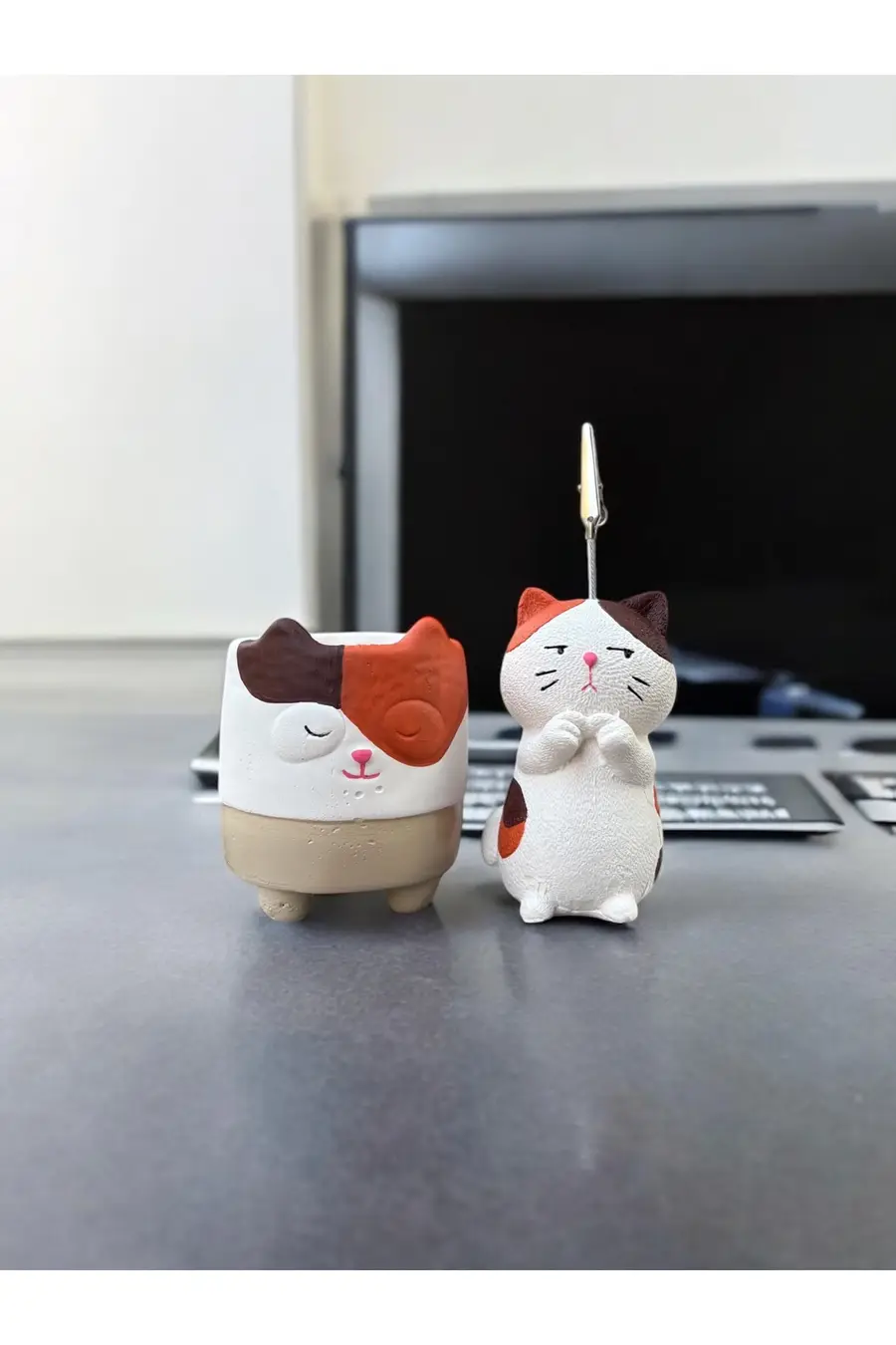 Utangaç Kedi Temalı Not Tutucu ve Kedi Saksı Seti Hediyelik Ofis seti - 1. görsel