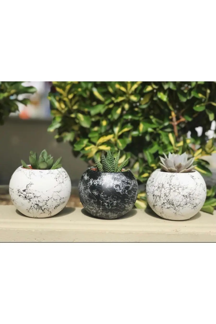 Yuvarlak Model Mermer Desenli Beton Saksı Saksılıkkaktüslükm - 1. görsel